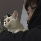 成员