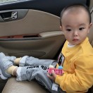 成员